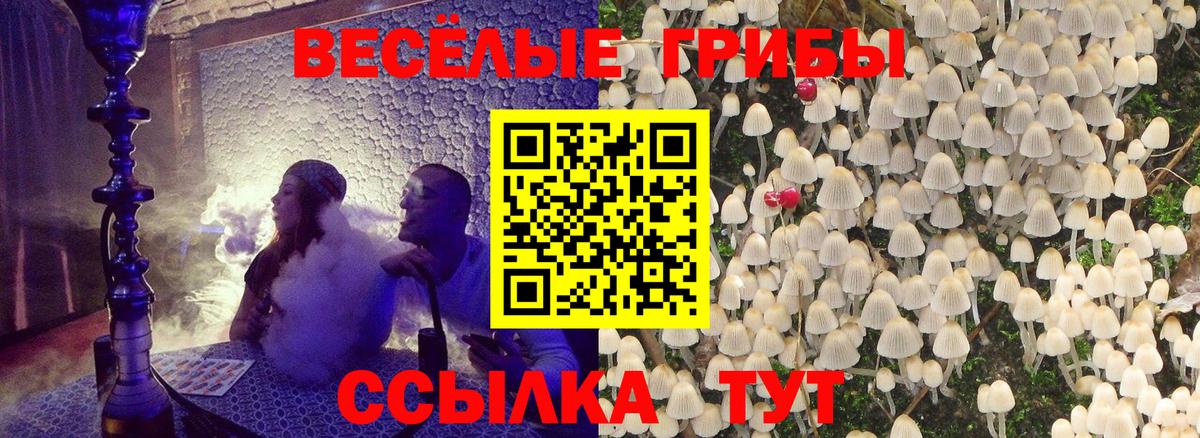 закладка  Галлюциногенные грибы мицелий  Вход с VPN  Звенигород 