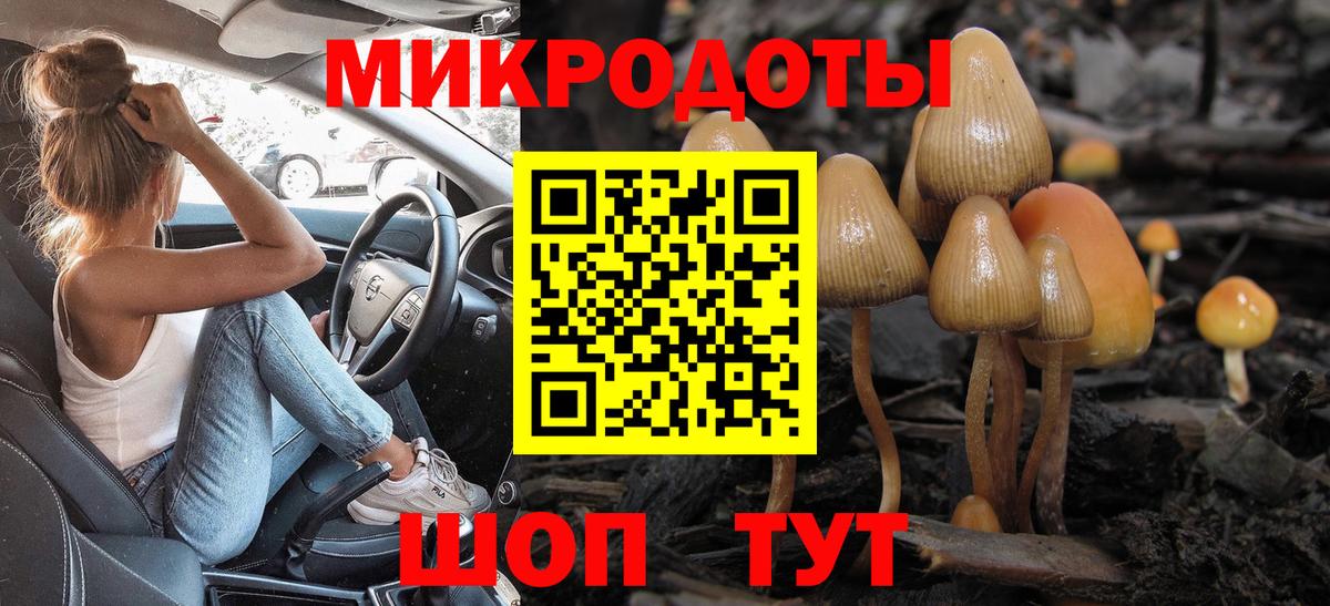 Псилоцибиновые грибы Magic Shrooms Звенигород